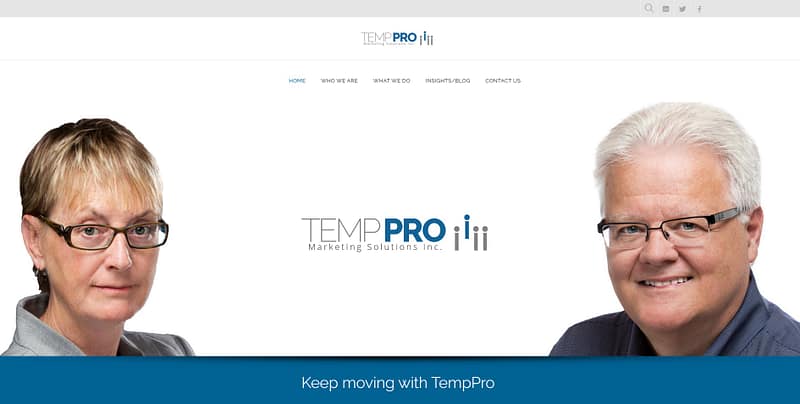 Temp Pro Marketing Services (www.temppromarketing.com)