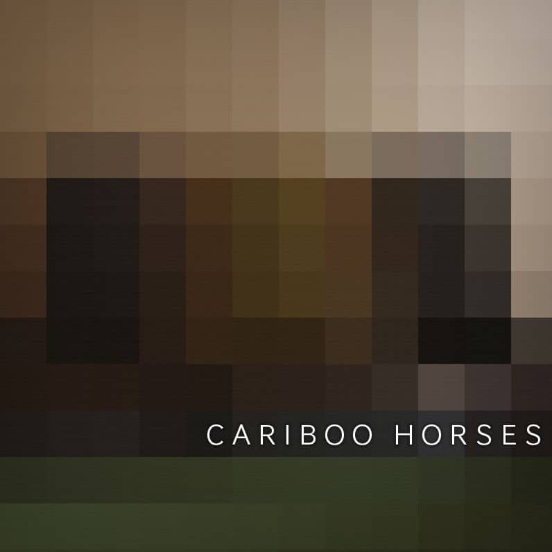 Cariboo Horses Album Cover